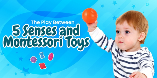 The Play Between 5 Senses and Montessori Toys You Didn't Know About!